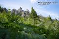 _IGP6079 inclined meadow